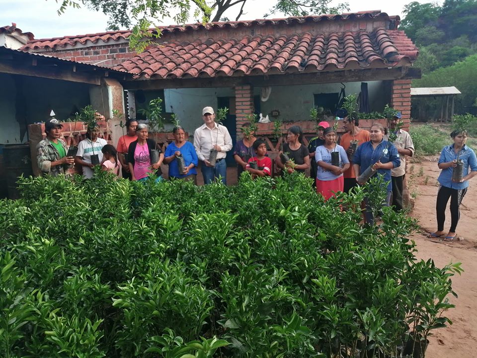 Cuatro comunidades de Caraparí recibieron 5000 plantines frutales como incentivo por conservar sus bosques