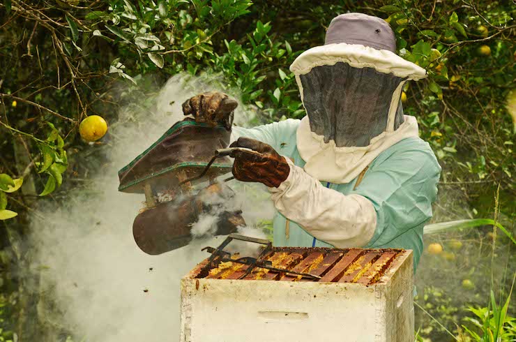 Bolivia: cuando los pequeños agricultores se convierten en aliados de la conservación