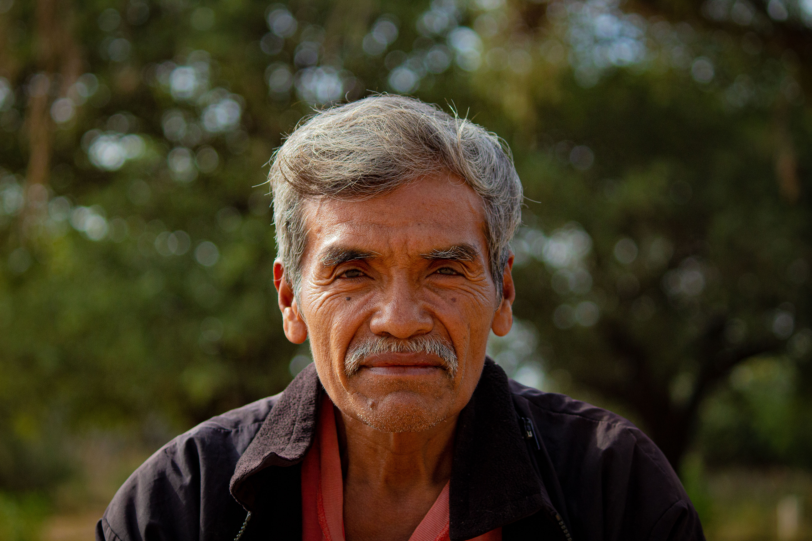El guardián de los bosques y de la salud guaraní