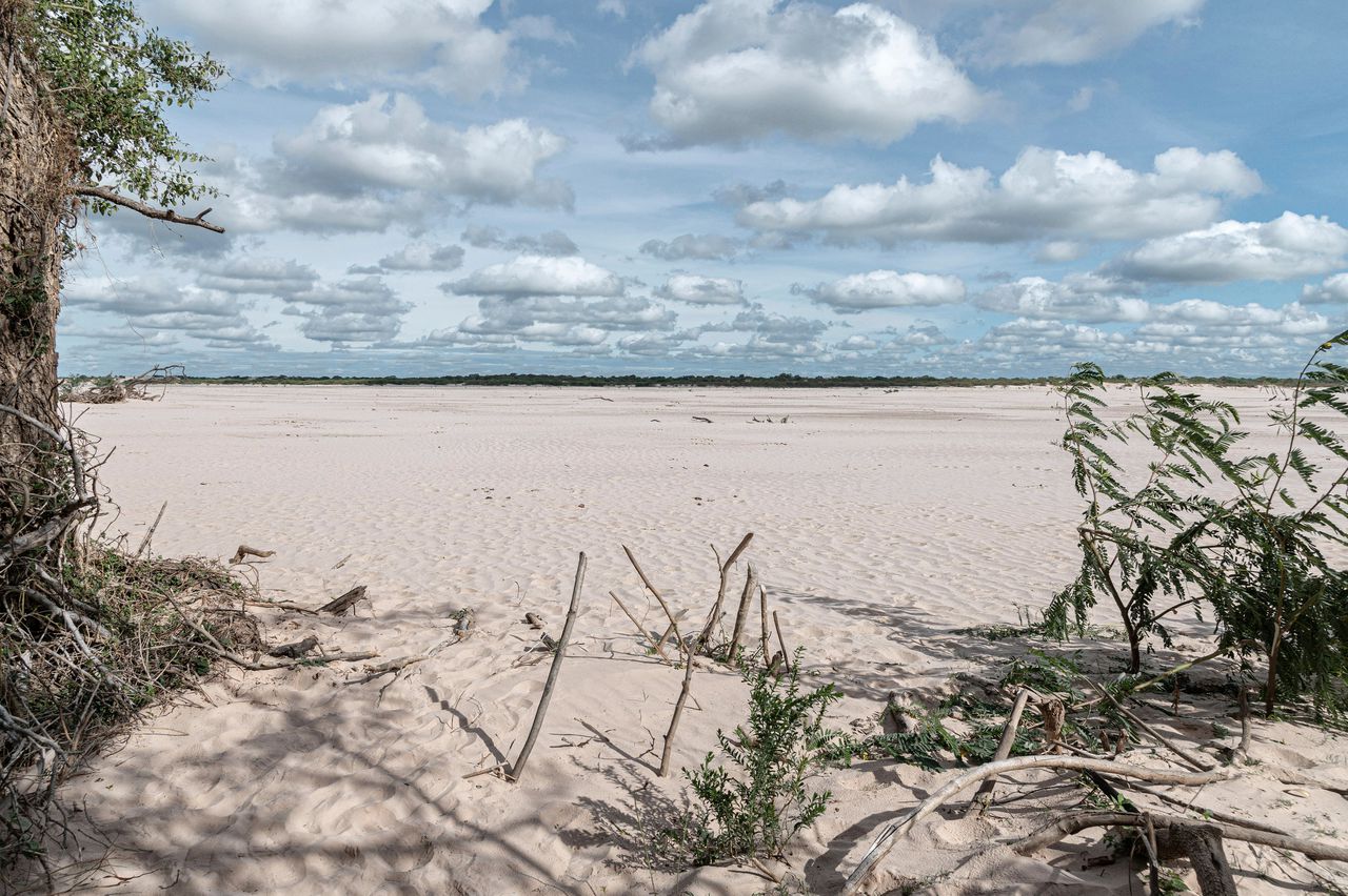 Casi no fluye agua por el río Parapeti: “Nunca lo habíamos visto tan seco como ahora”