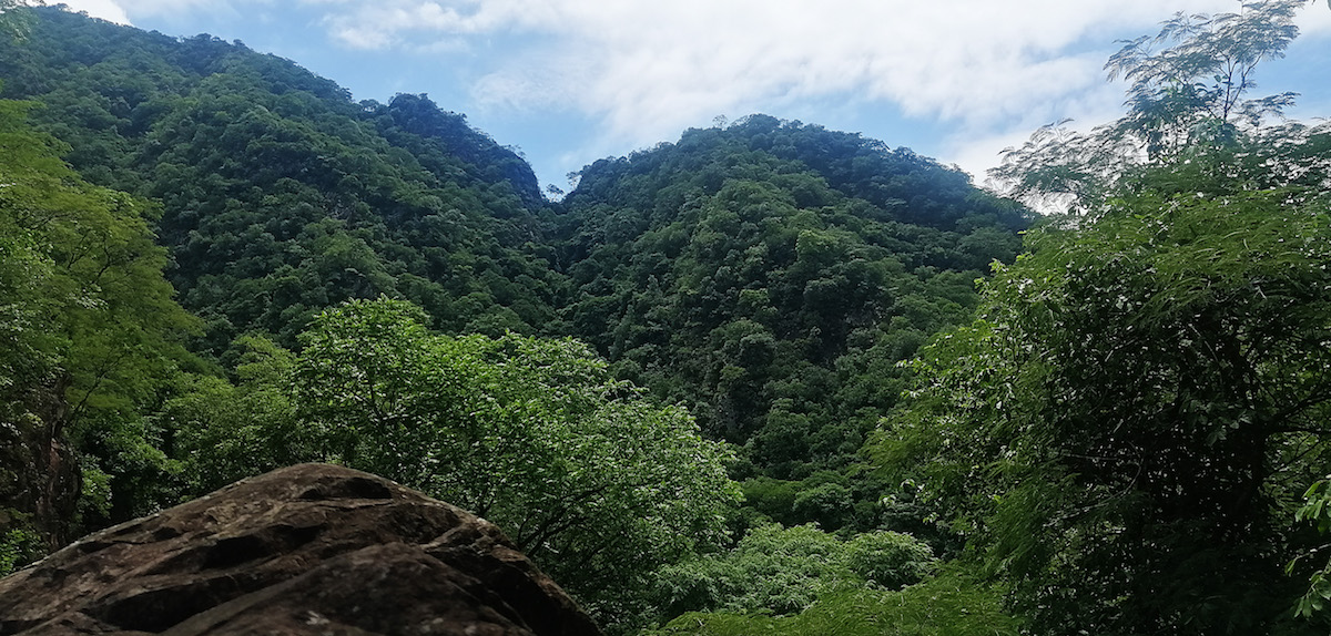Parque Nacional Serranía del Aguaraguë conforma alianza con el Fondo de Yacuiba