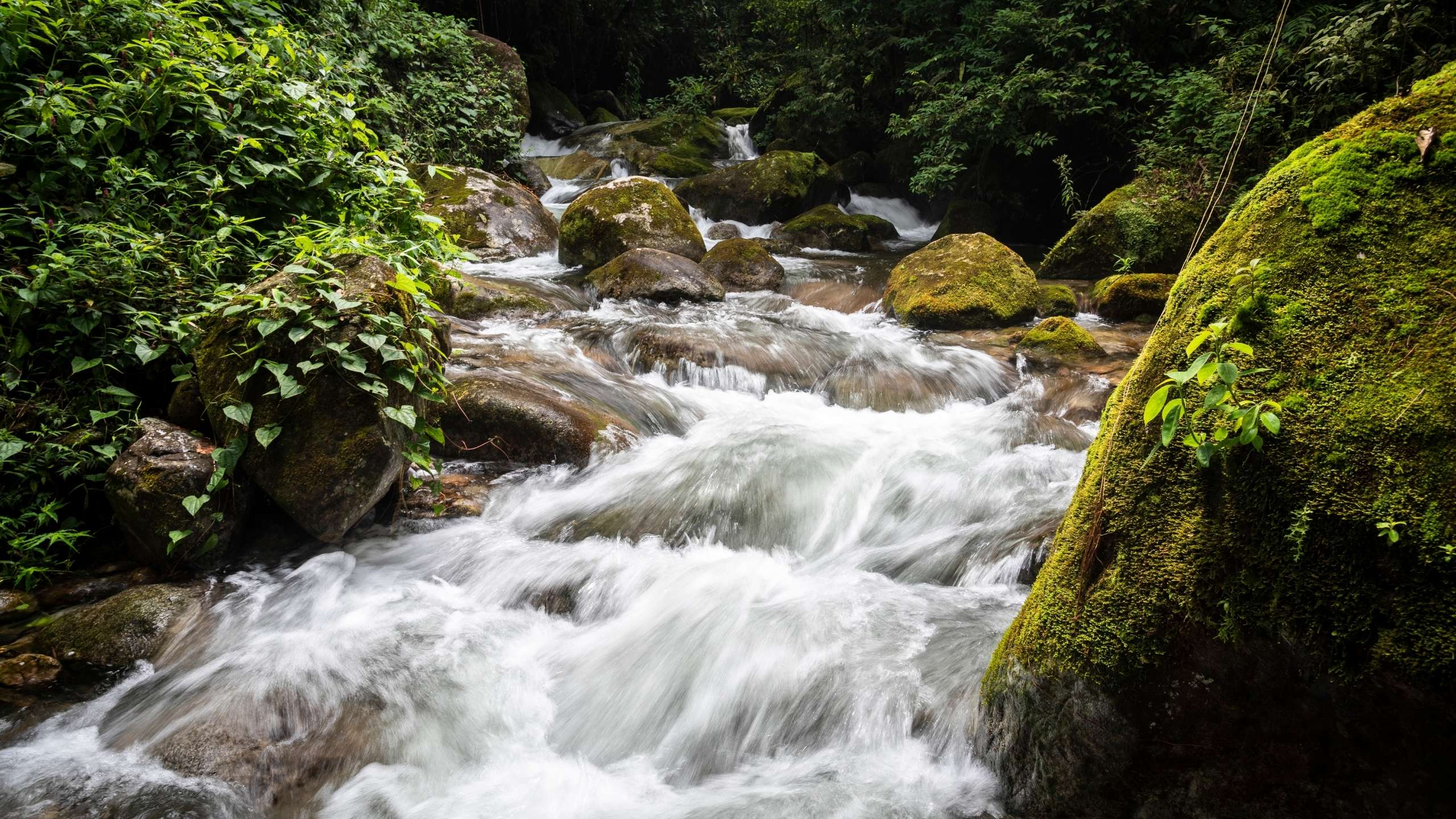 Acuerdos Recíprocos de Agua: el modelo de conservación que protege millones de hectáreas de bosques en Bolivia
