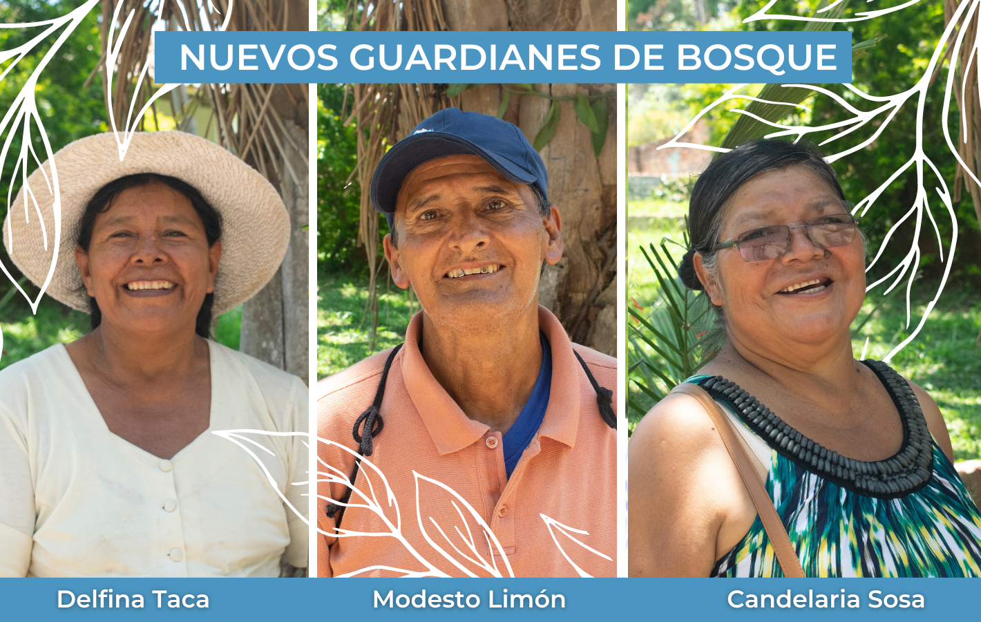 Nuestros guardianes de bosque, ¡Conócelos!