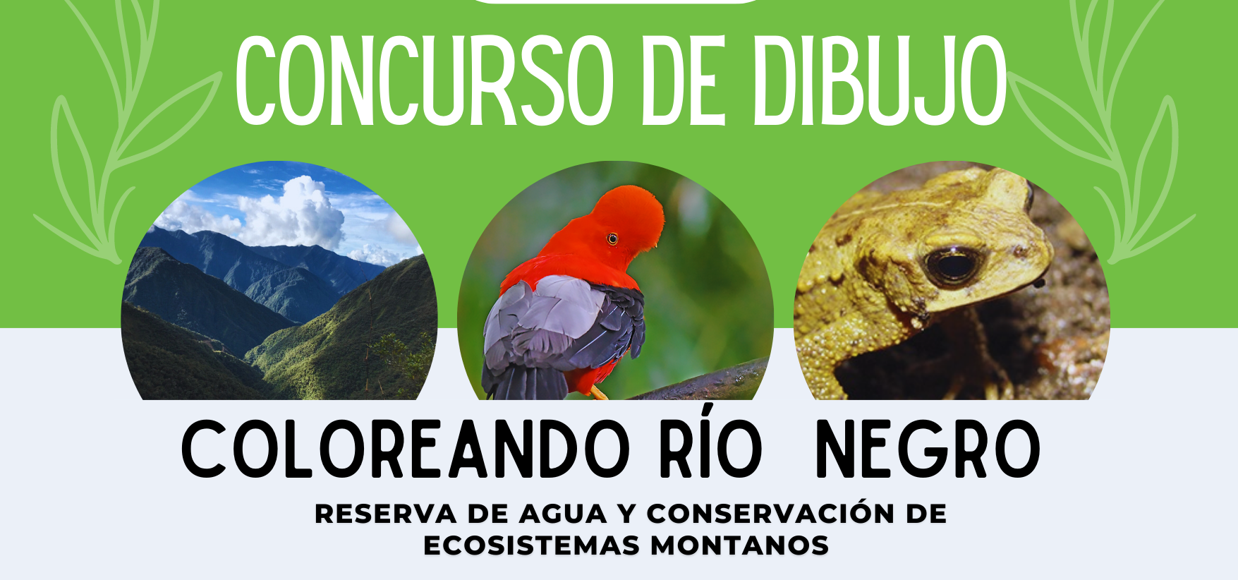 JÓVENES DE COROICO COLOREARON EL RÍO NEGRO