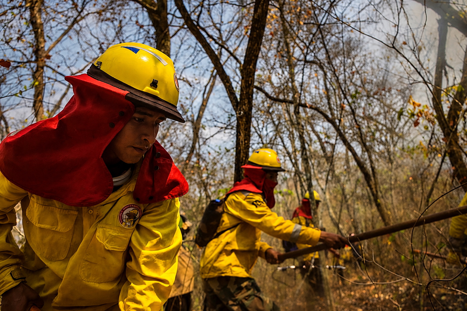 Prevenimos y respondemos a los incendios forestales