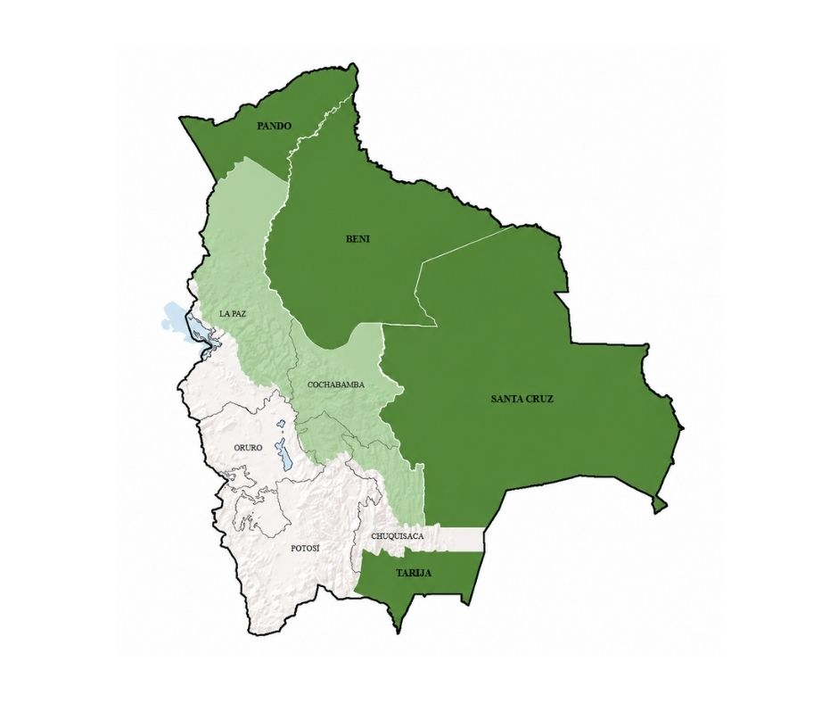 Alianzas globales para el desarrollo forestal sostenible