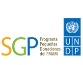 PROGRAMA DE LAS NACIONES UNIDAS PARA EL DESARROLLO
