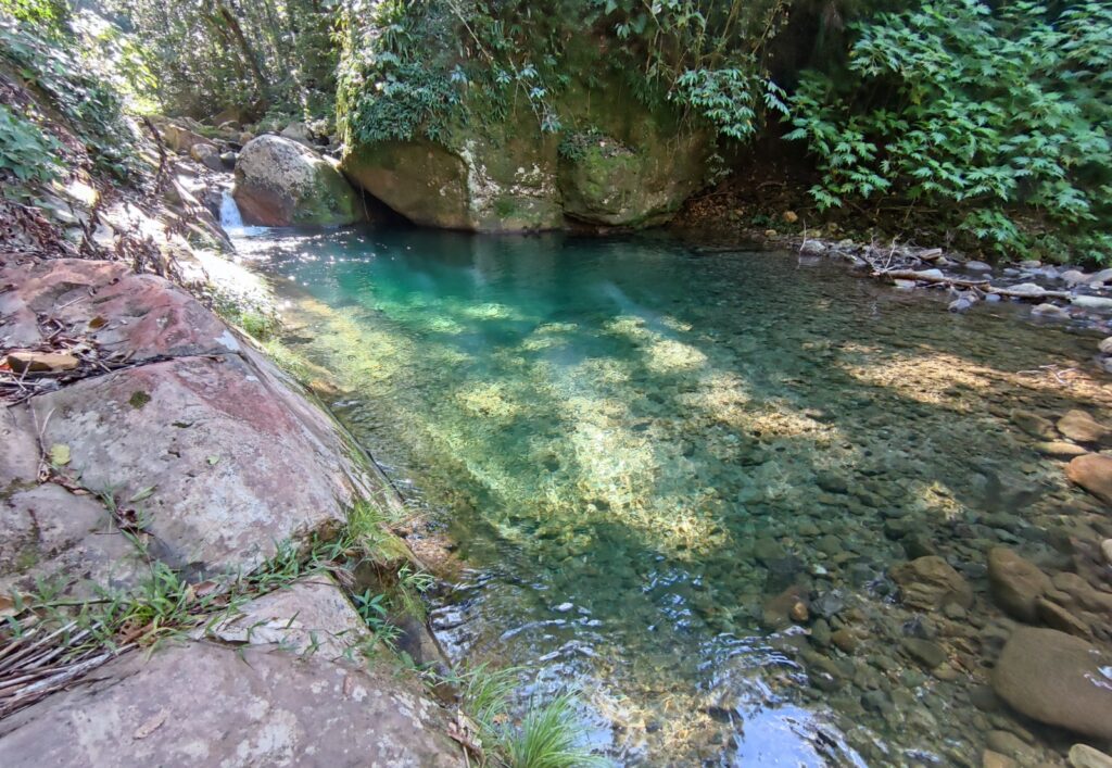 El