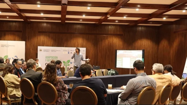 Desarrollo de sesiones técnicas para la incorporación del carbono forestal en la agenda forestal de Bolivia